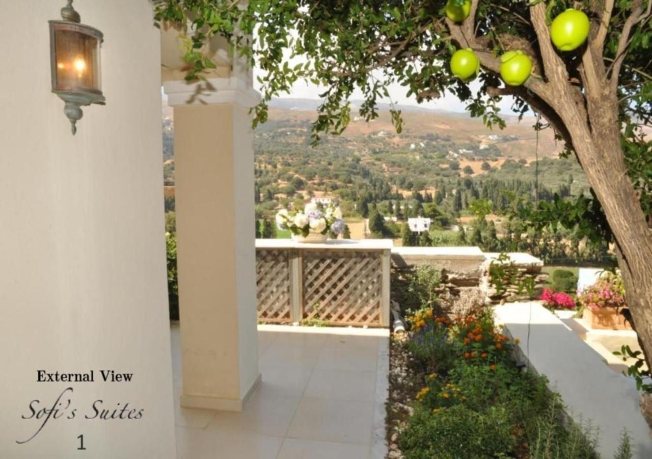 Sofi'S Suites Andros Экстерьер фото